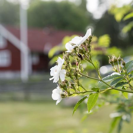Modal Stugor Hultsfred Exterior foto